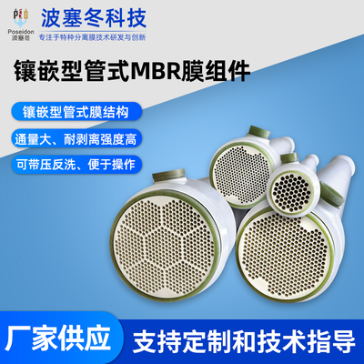 镶嵌型管式MBR膜组件