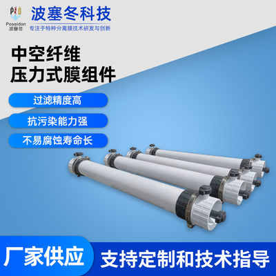 中空纤维压力式膜组件